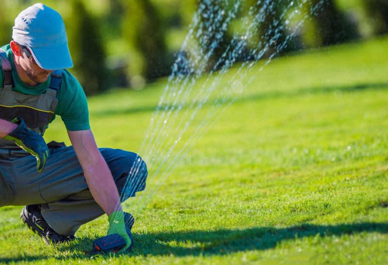 Lawn Irrigation System Service