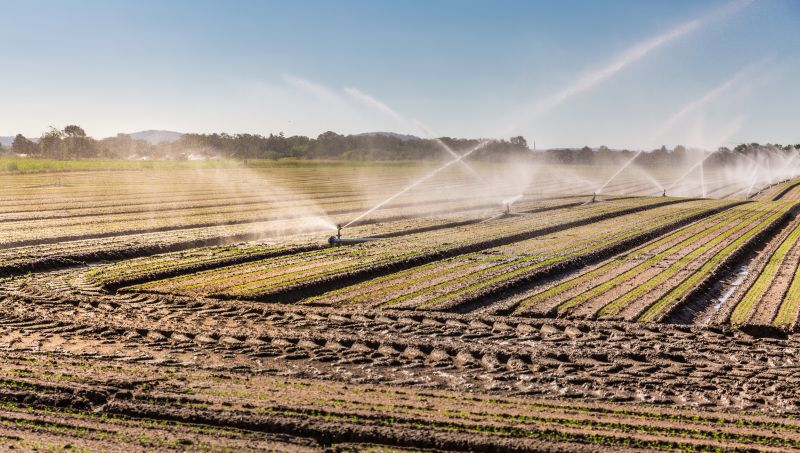 Crop Irrigation Installation in Ventura County, CA