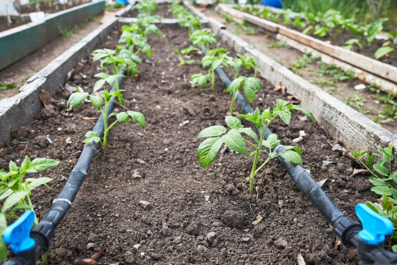 Drip Irrigation Installation in Honolulu, HI