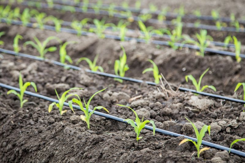 Drip Irrigation Installation in Aiken, SC