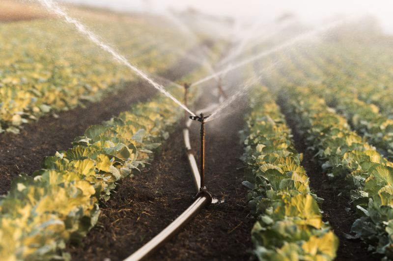 Garden Irrigation Installation in Honolulu, HI