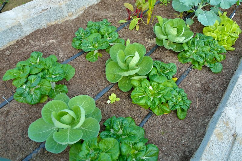 Inground Irrigation Service in Aiken, SC