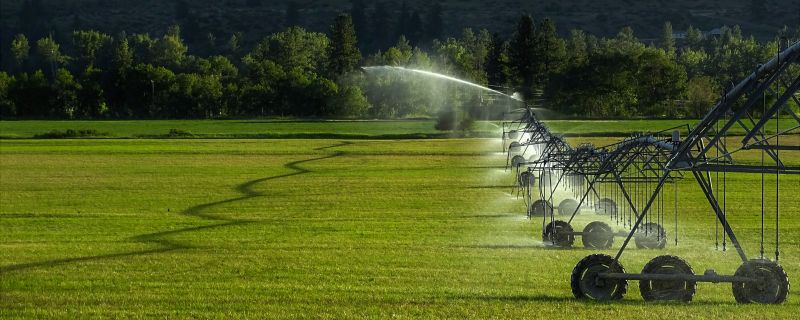 Inground Irrigation Service in Honolulu, HI