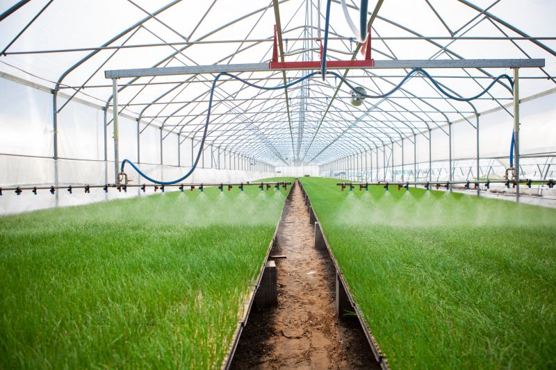 Irrigation Installation in Honolulu, HI