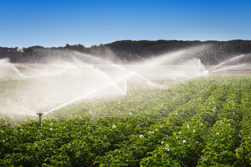 Irrigation Installation in Aiken, SC