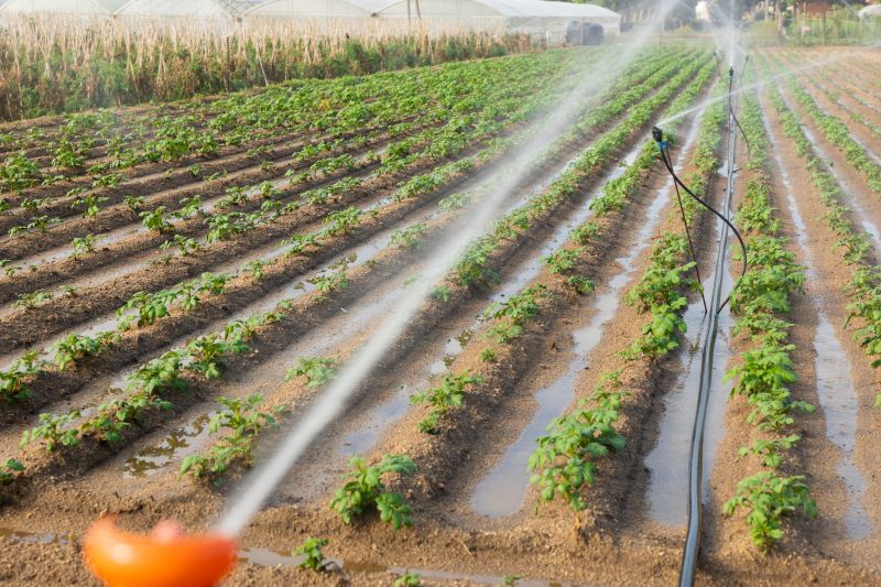 Irrigation Installation in Aiken, SC