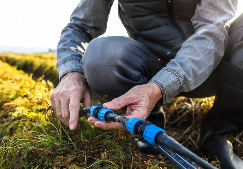 Irrigation Service in Ventura County, CA