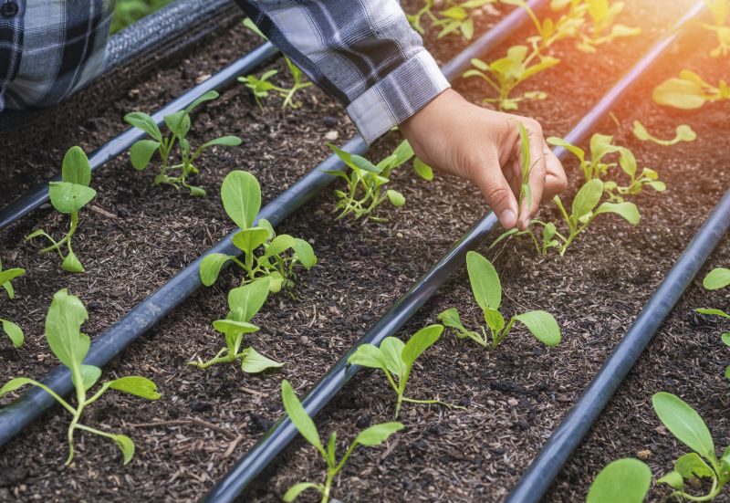 Irrigation Service in Ventura County, CA