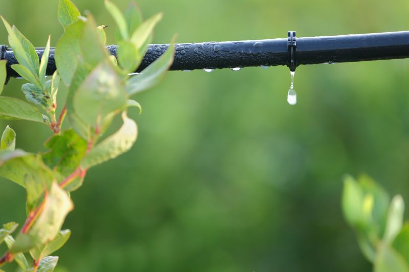Irrigation Service in Honolulu, HI