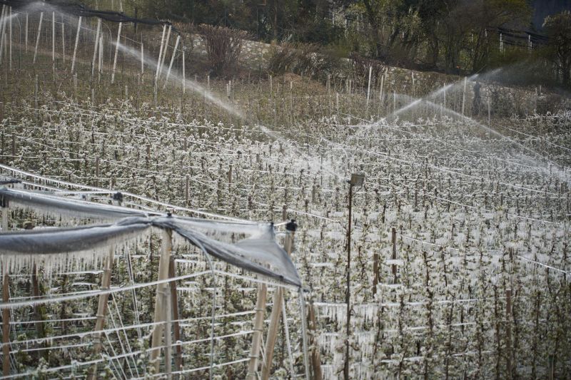 Irrigation Winterization in Ventura County, CA