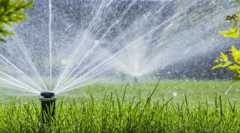 Lawn Irrigation System Service