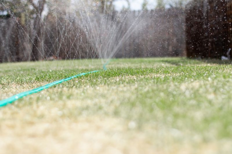 Lawn Irrigation System Service