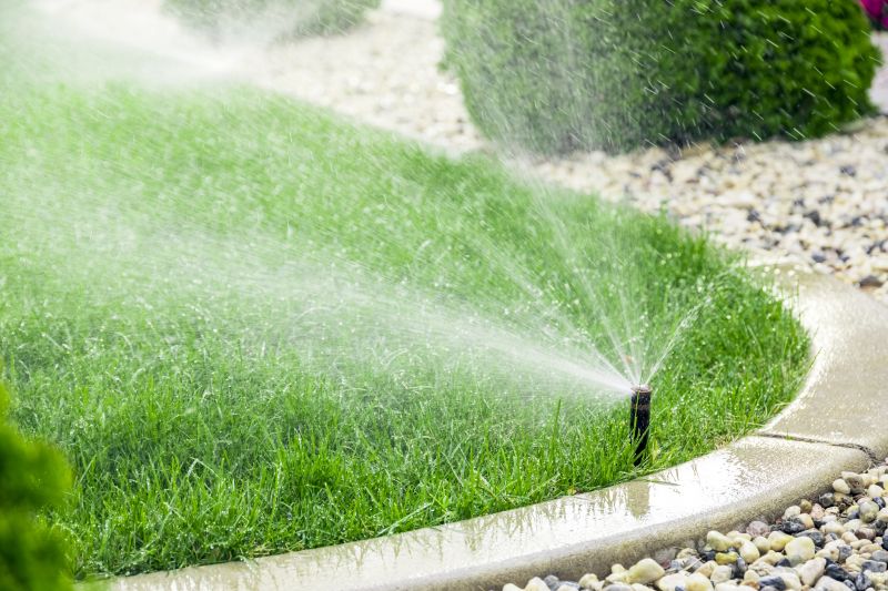 Lawn Irrigation System Service