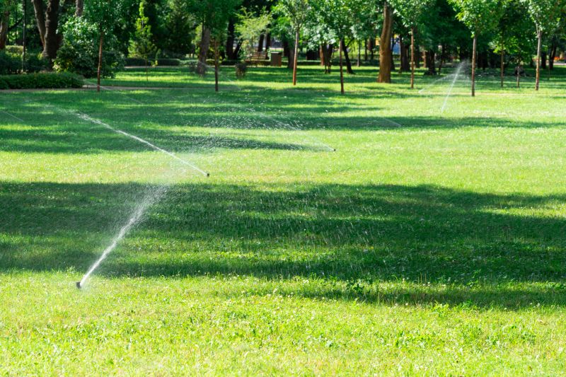 Lawn Irrigation System Service