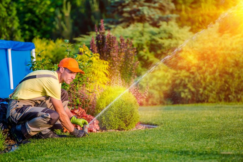 Lawn Irrigation System Service