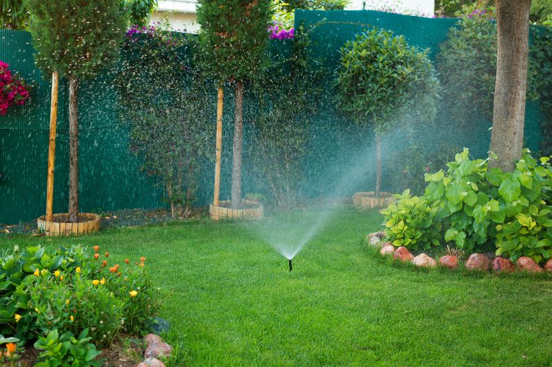 Lawn Irrigation System Service
