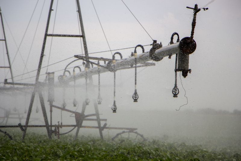 Mist Irrigation Installation in Honolulu, HI