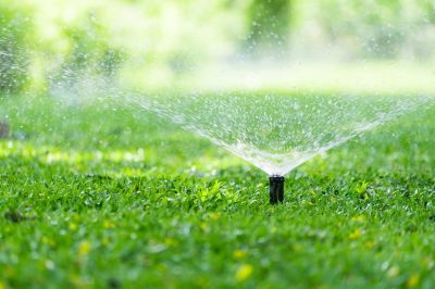 Pop Up Sprinklers Installation in Aiken, SC