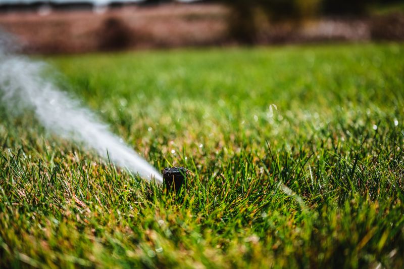 Sprinkler Winterization in Reno, NV